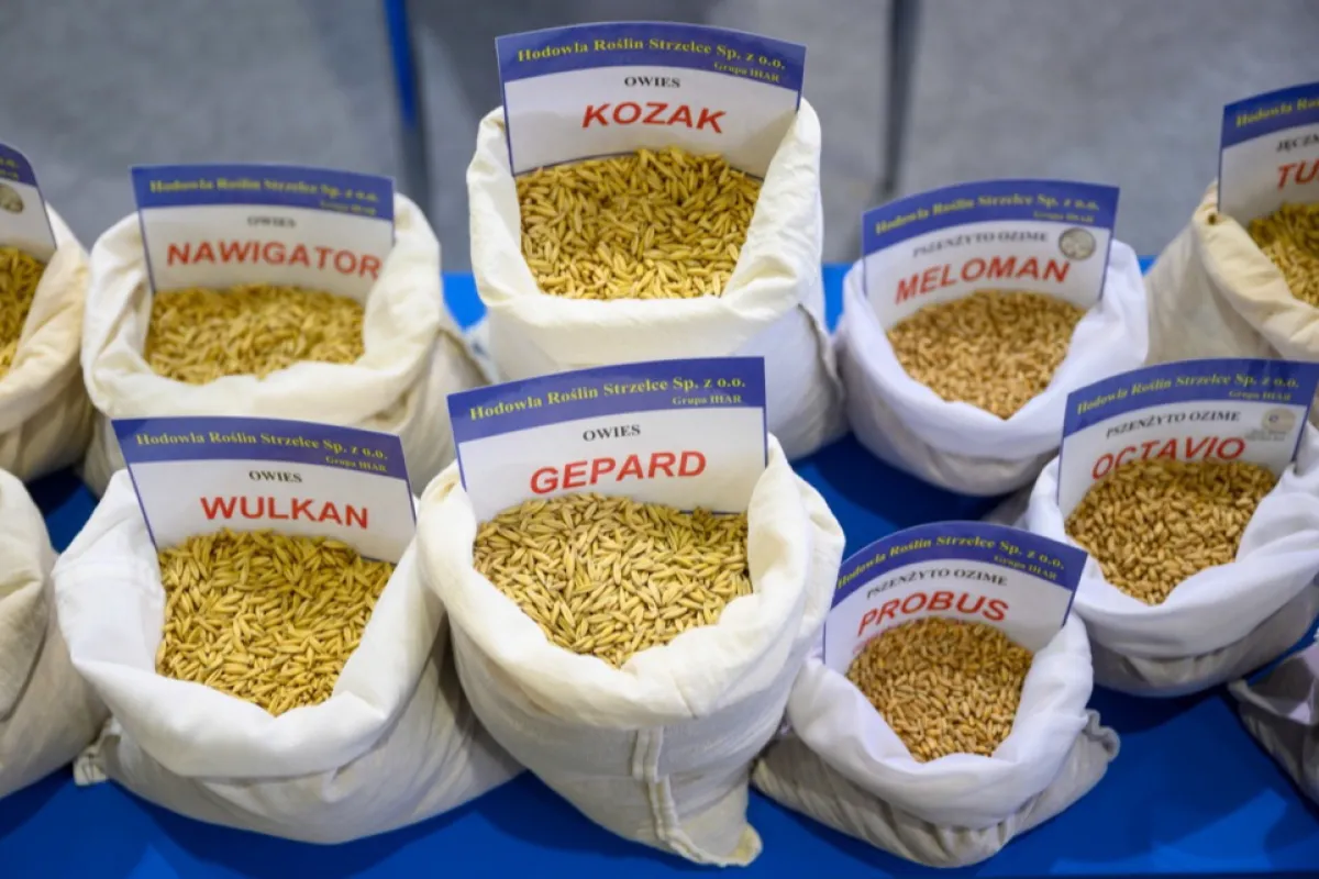 Saci care conțin semințe de boabe de țelină selectate sunt expuse în timpul târgului comercial POLAGRA din Poznan, Polonia, 13 ianuarie 2023.